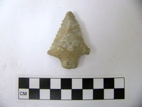 Arrowhead 100 5959